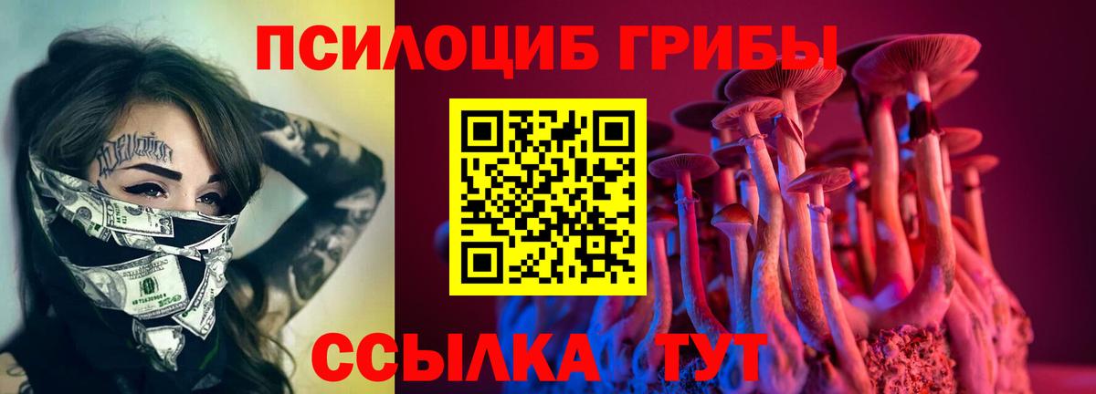 Невинномысск  наркота  Псилоцибиновые грибы GOLDEN TEACHER  Вход с VPN  Псилоцибиновые грибы Psilocybine cubensis 